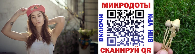 Галлюциногенные грибы Psilocybe Медвежьегорск