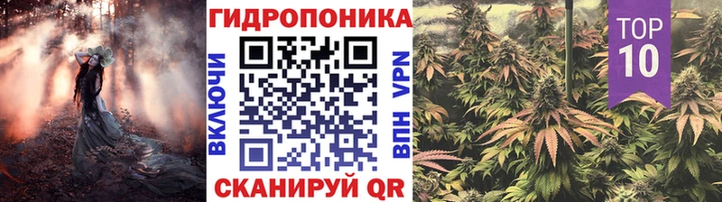 Шишки марихуана гибрид  Медвежьегорск 